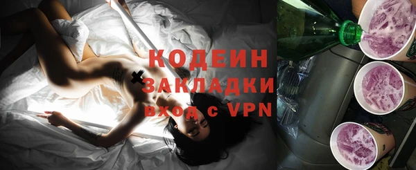 стаф Вяземский