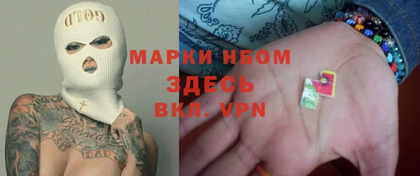 стаф Вяземский