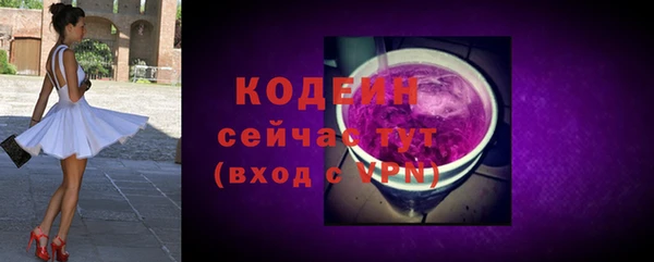 стаф Вяземский