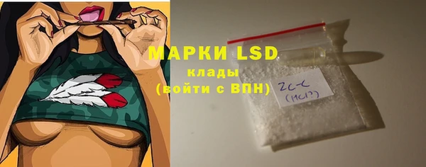 стаф Вяземский