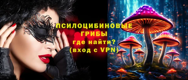 стаф Вяземский