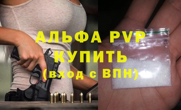 стаф Вяземский