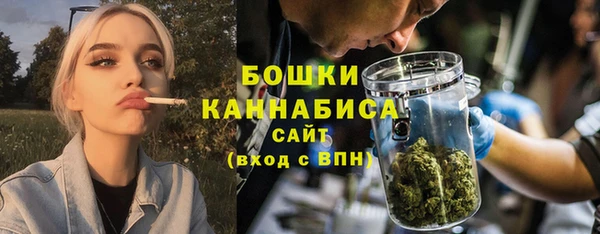 стаф Вяземский