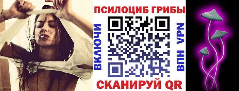 Псилоцибиновые грибы мицелий  KRAKEN ссылка  Кисловодск  как найти наркотики 